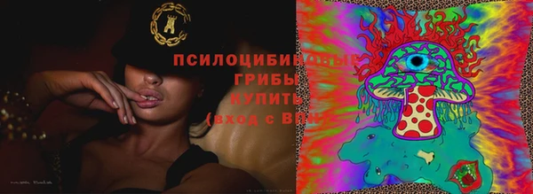 не бодяженный Куйбышев