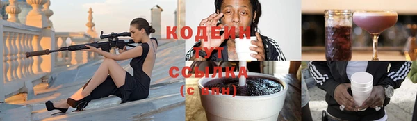 PSILOCYBIN Кулебаки