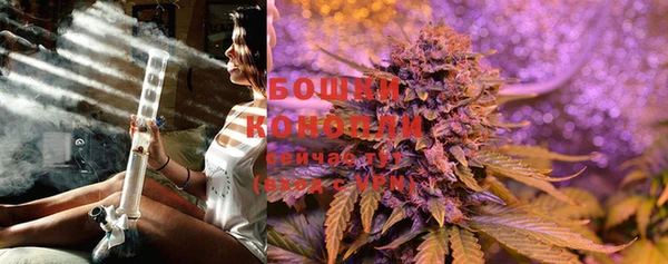 PSILOCYBIN Кулебаки