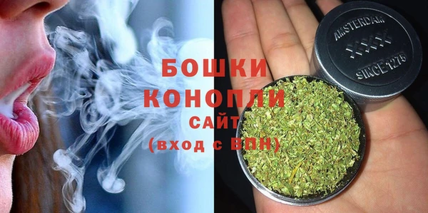 PSILOCYBIN Кулебаки
