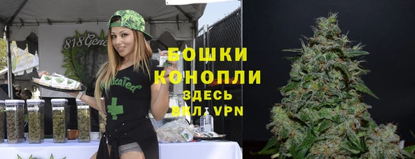 PSILOCYBIN Кулебаки