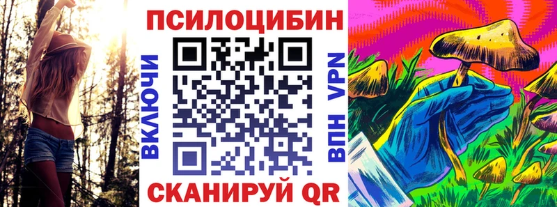 даркнет сайт Ядрин Псилоцибиновые грибы мухоморы